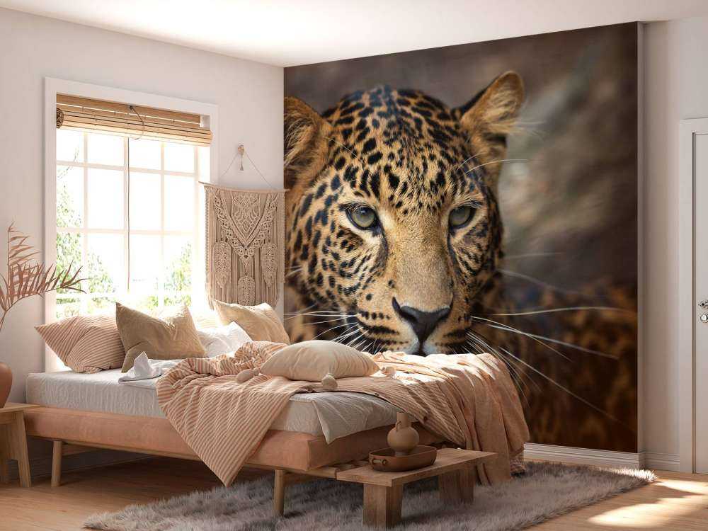 Close, up of a leopard