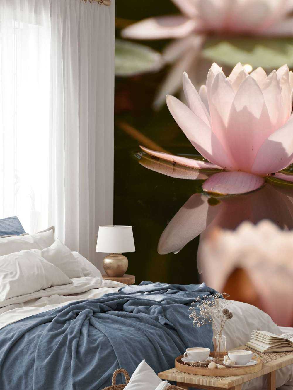 Lotus flower in water