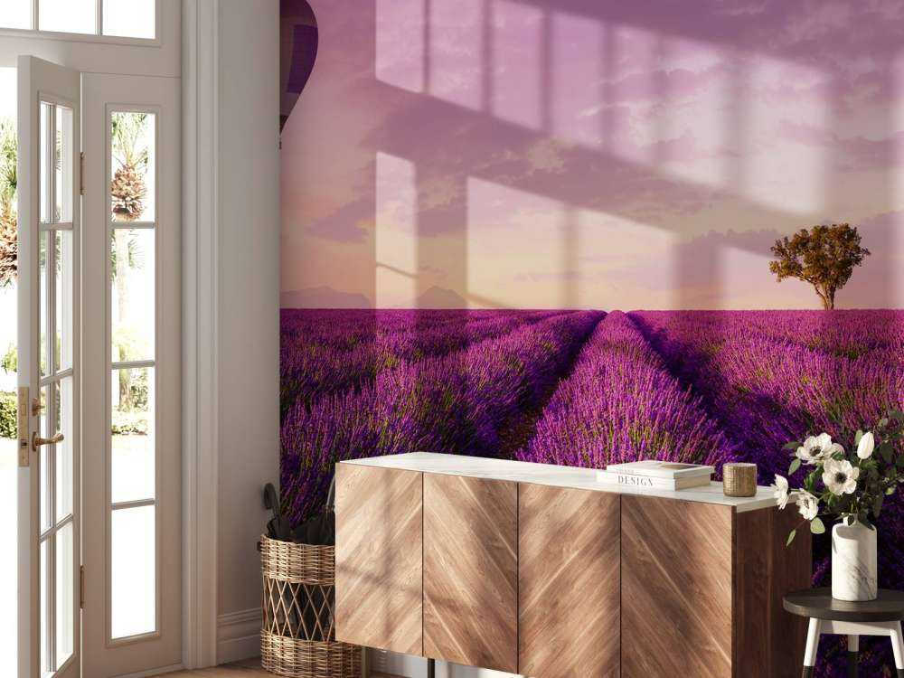 Lavender field and hot air balloon