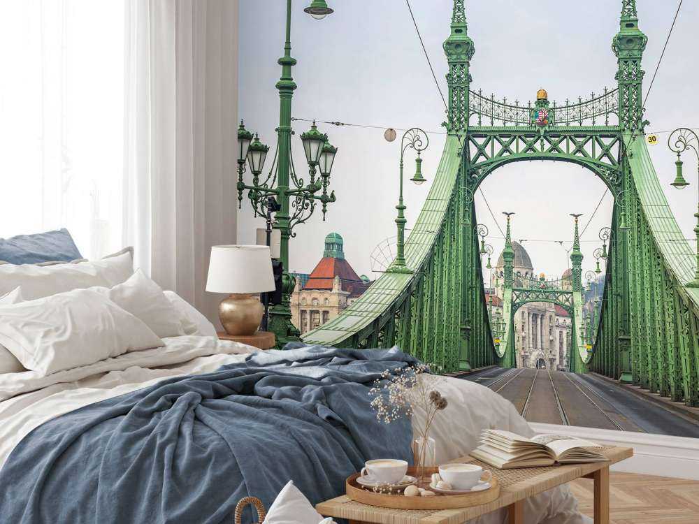 Tram line in Budapest