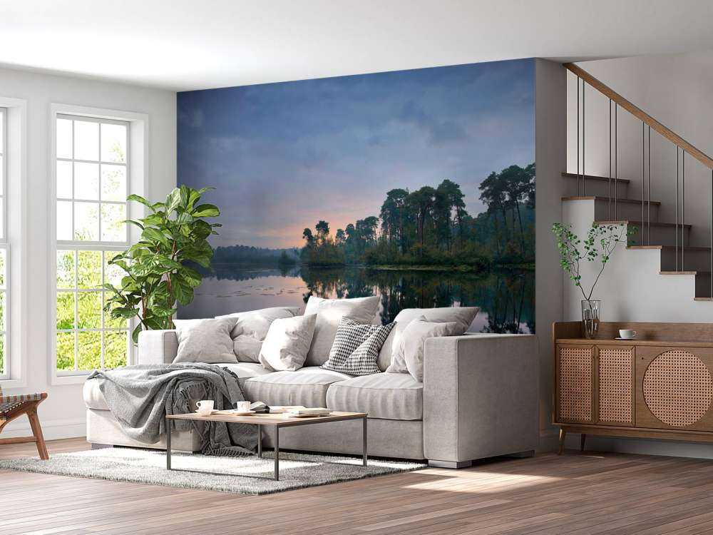 Reflection in forests at sunrise