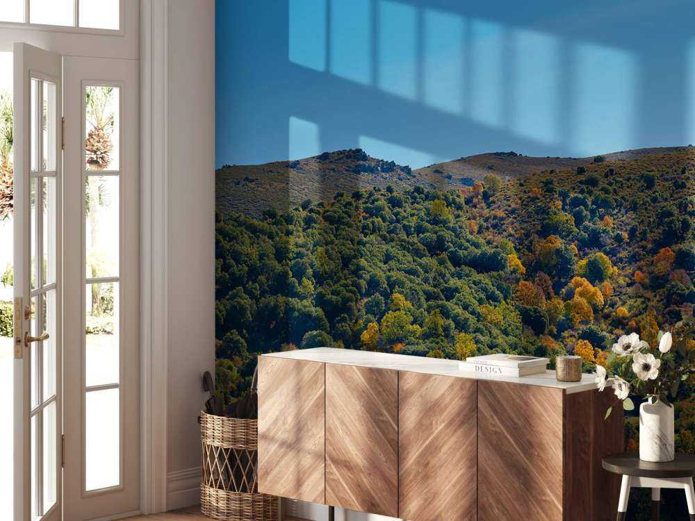 Autumn in the mountains