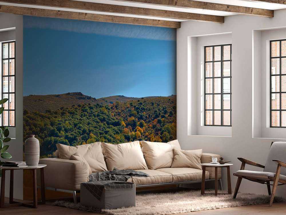 Autumn in the mountains