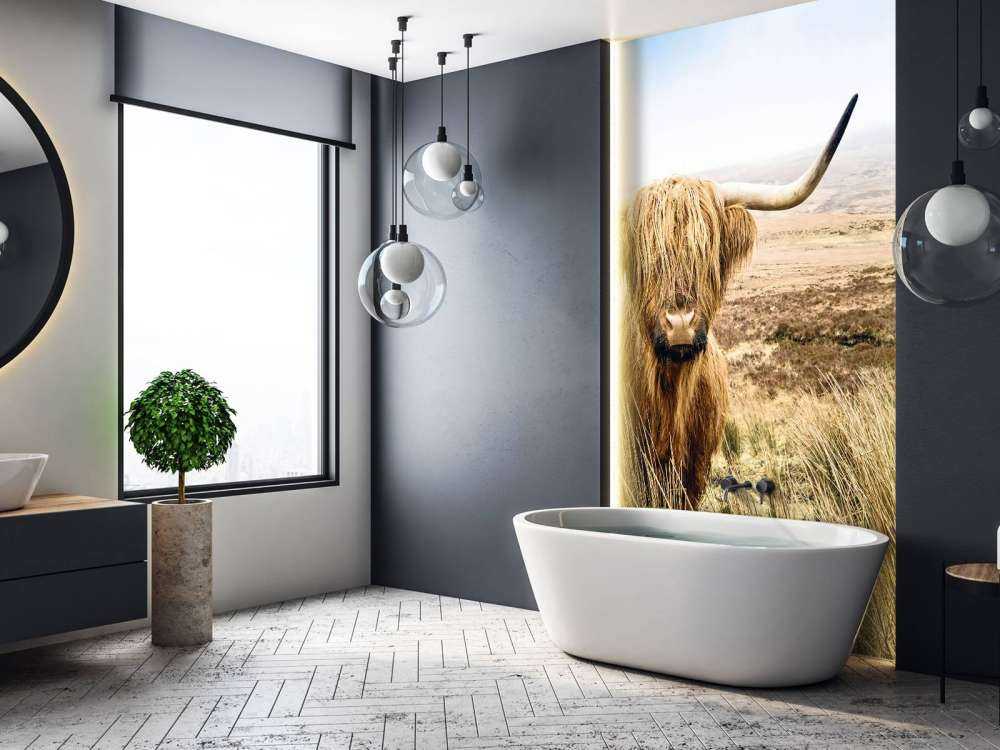 Scottish Highlander with reed