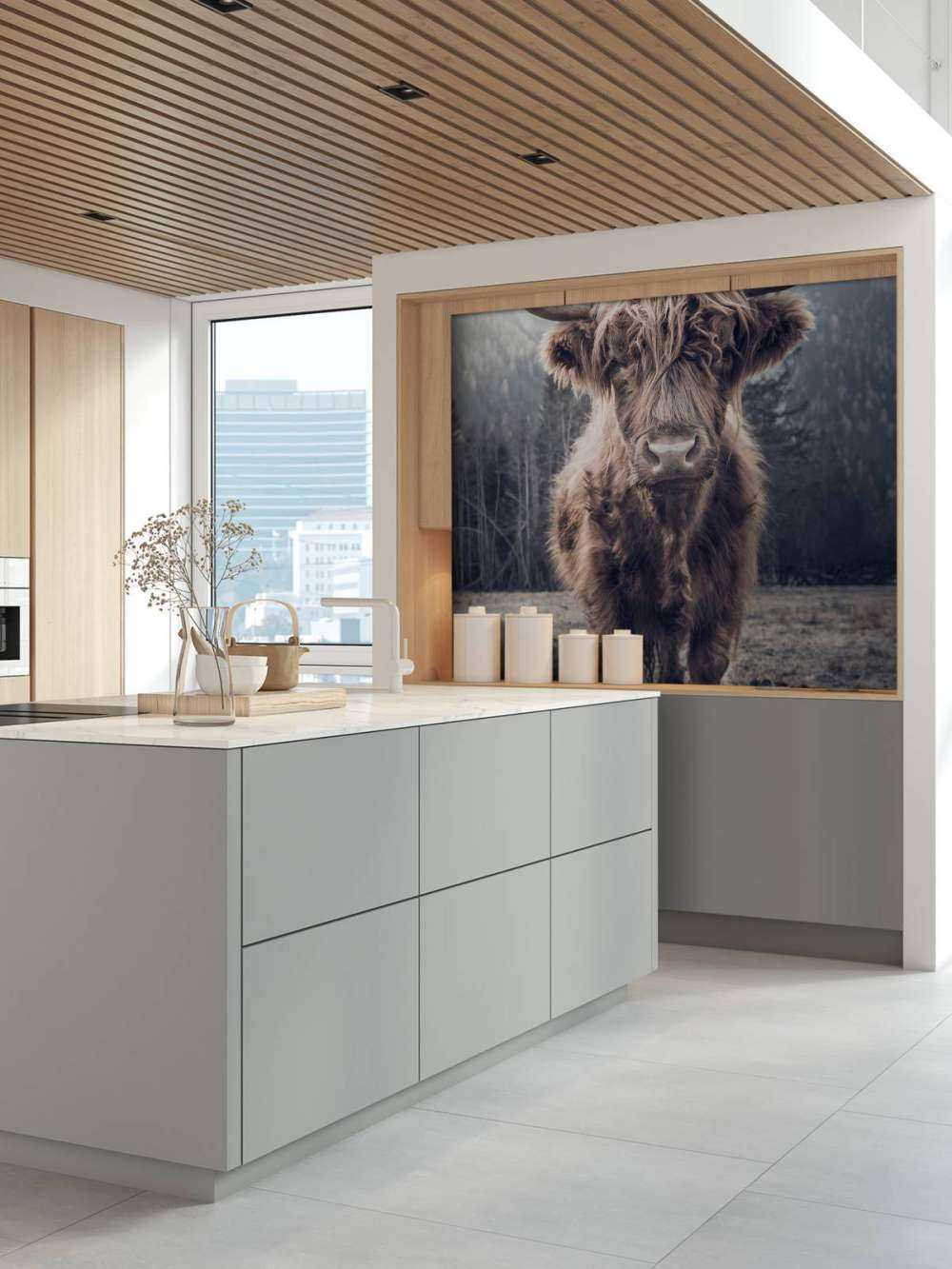 Scottish Highlander by the forest