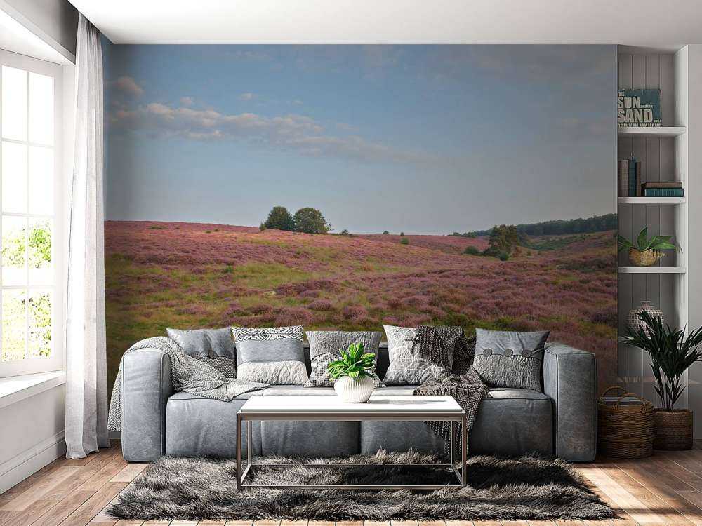 Flowering heather