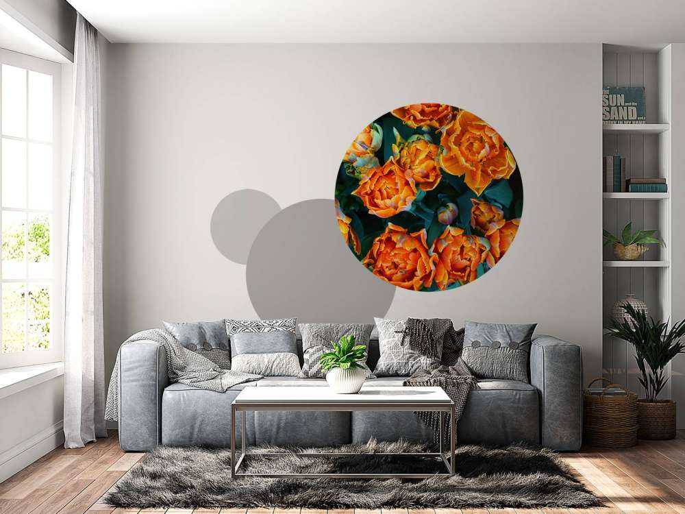 Close-up orange tulips