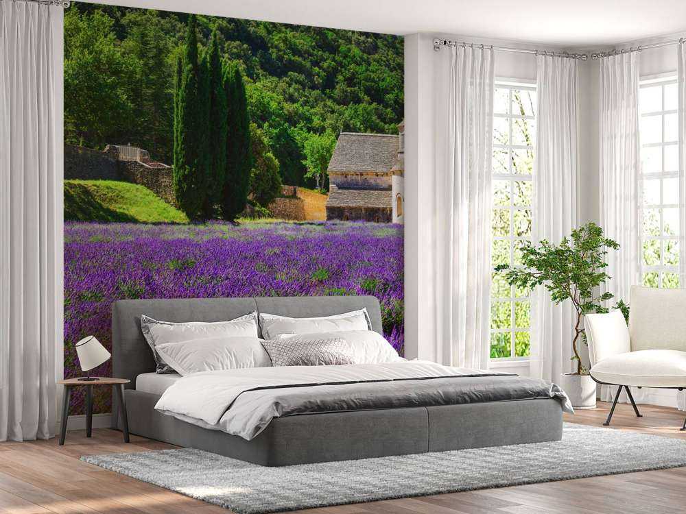 Fairy lavender field
