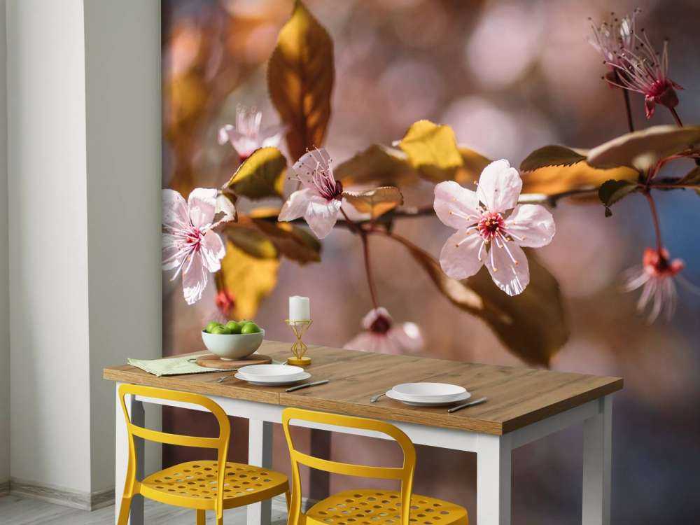 Pink blossoms and brown leaves