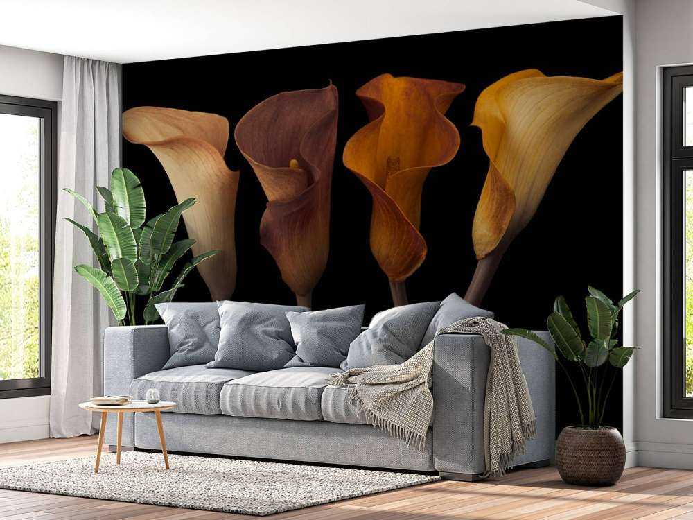 Calla Lilies