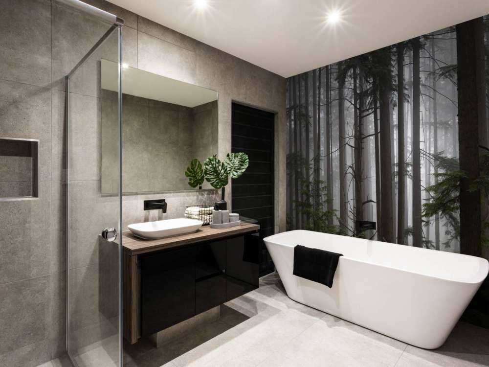 Forest during a foggy day