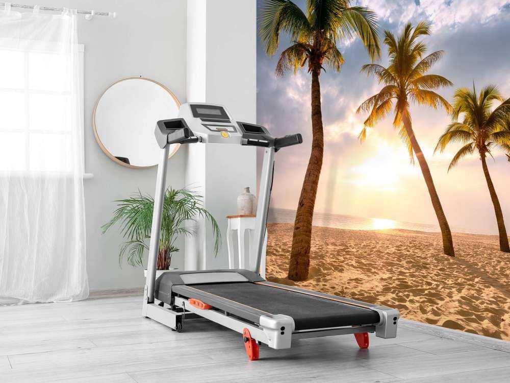 Coconut palms against the sunset