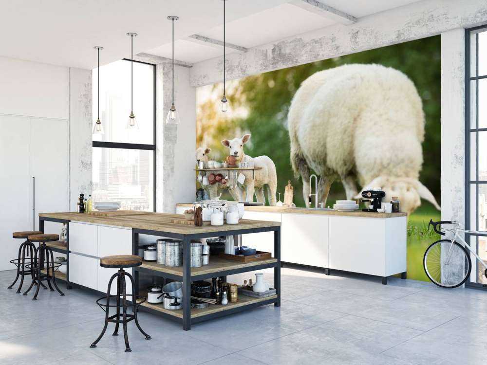 Mother sheep with lambs