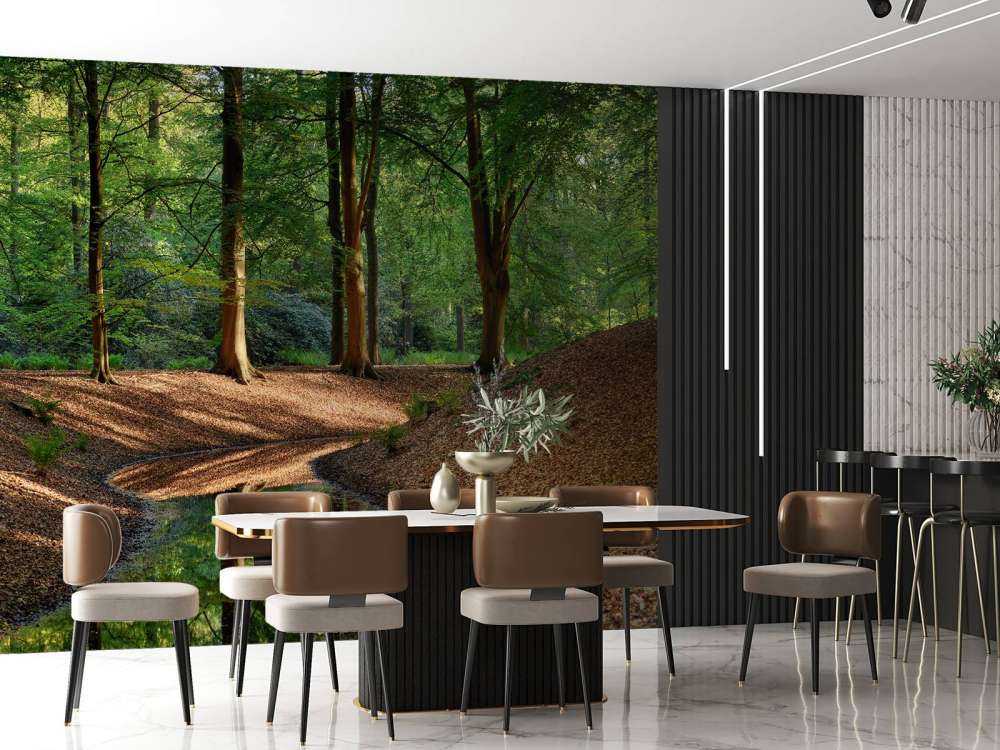 Brooklet in the forest