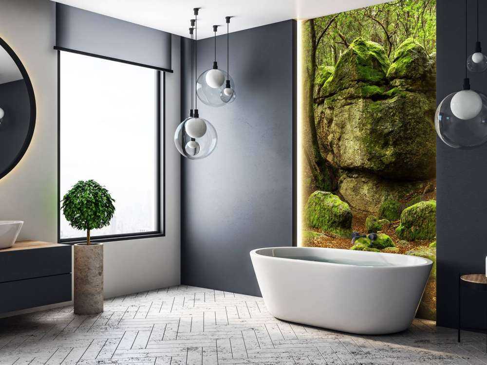 Enchanting forest