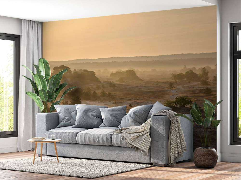 Kootwijker sand
