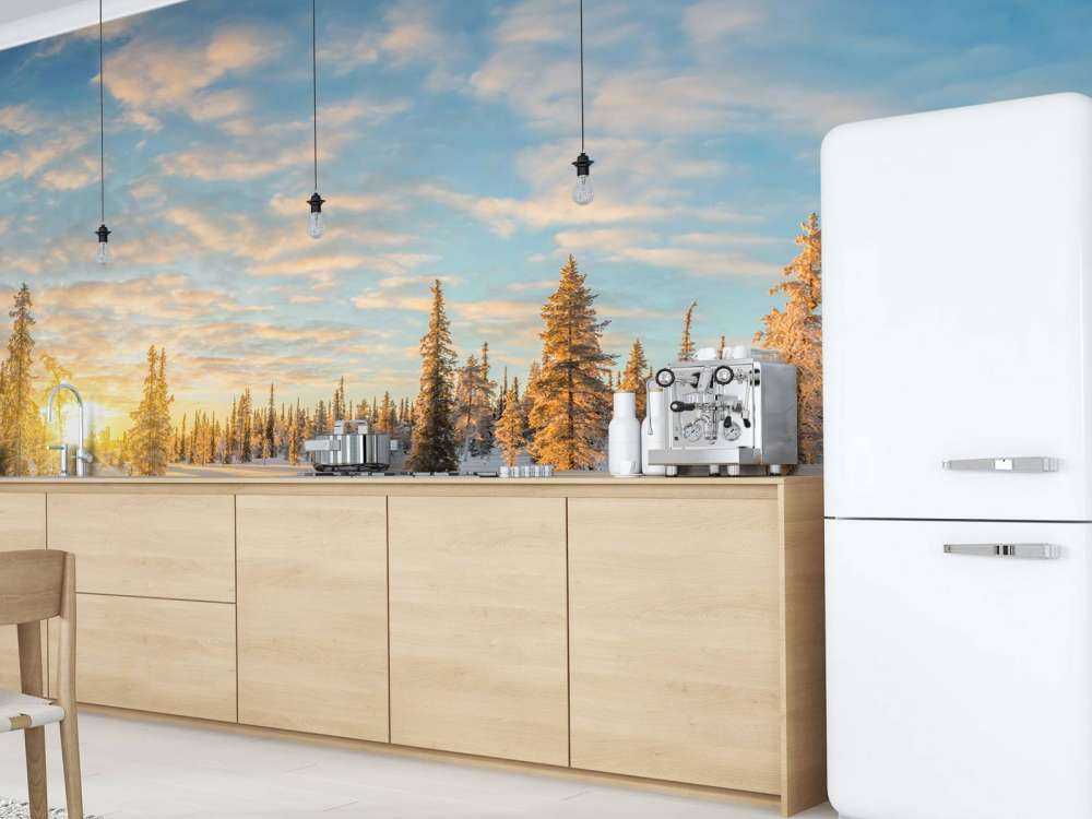 Snow landscape at sunset