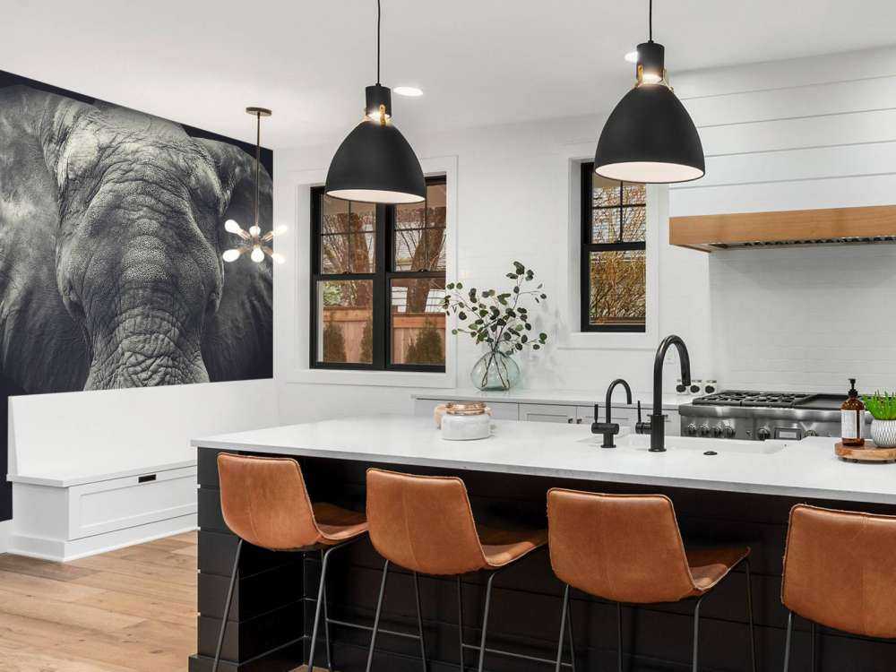 Close-up of an elephant