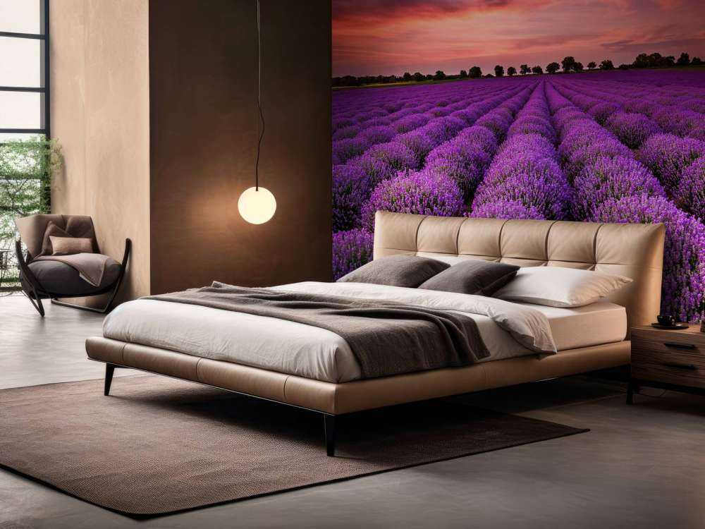 Lavender field