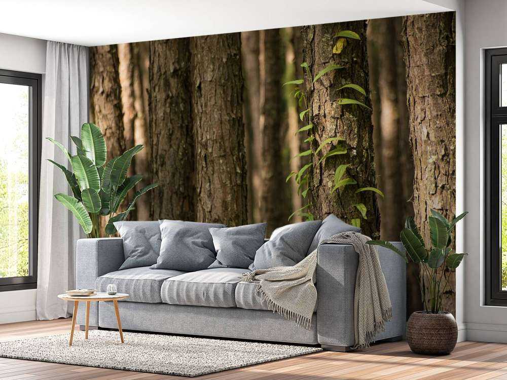 Thin tree trunks
