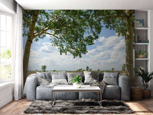 Sunny view 