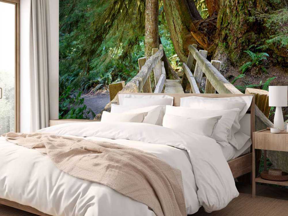 Wooden bridge through the forest 