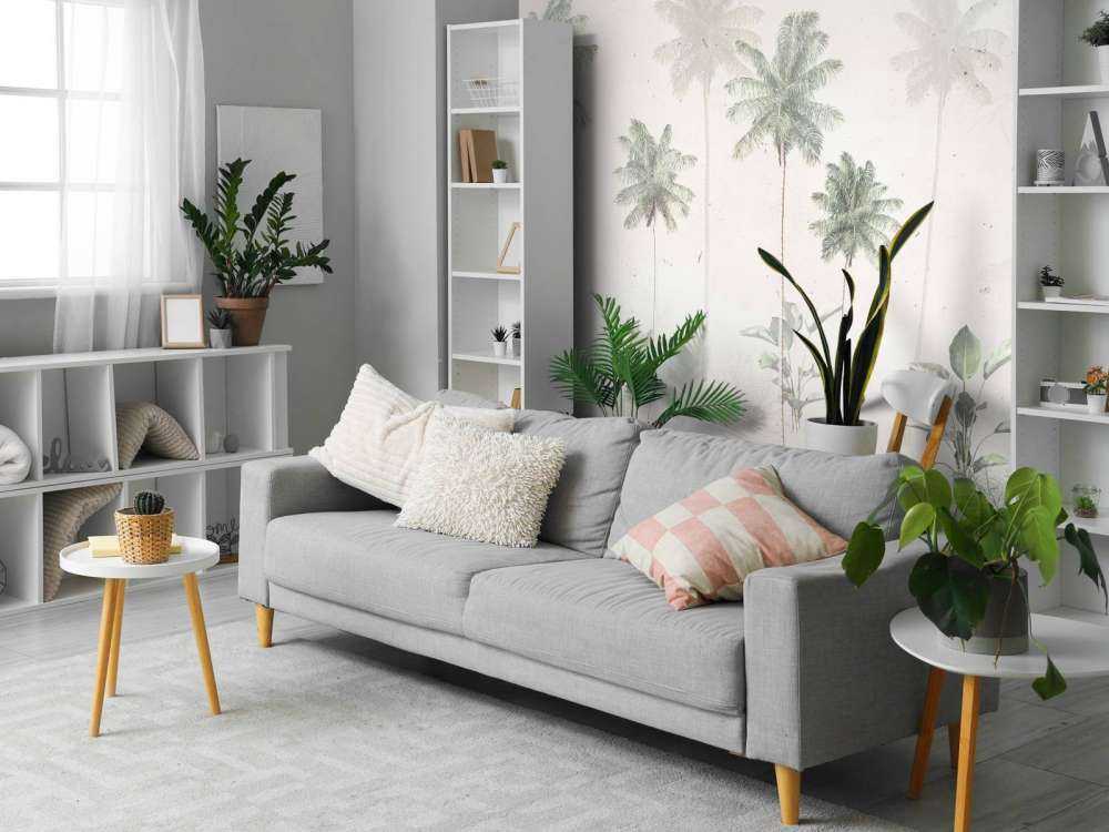 Tropical Mist Morning