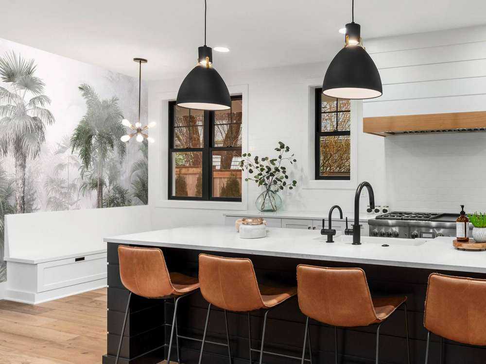 Morning Mist in the Tropics