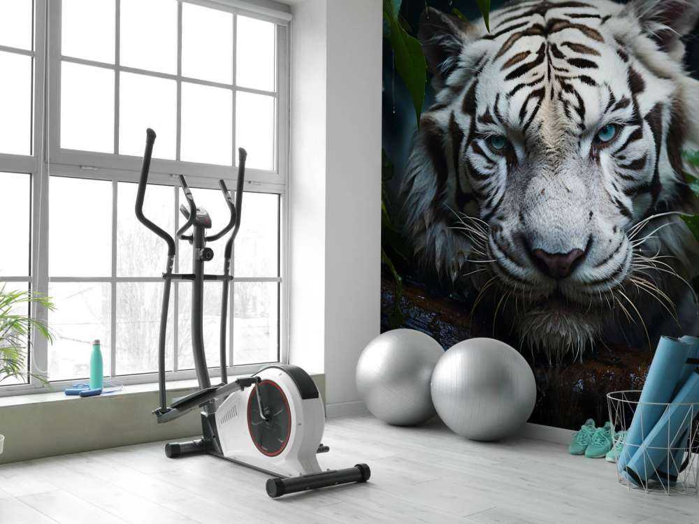 The Big and Rare White Tiger