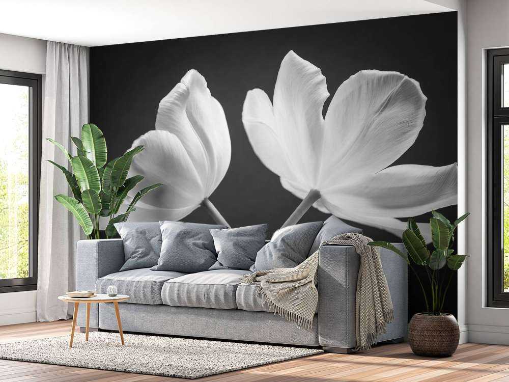 Crossed tulips