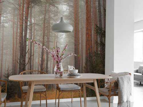 The forest mystery