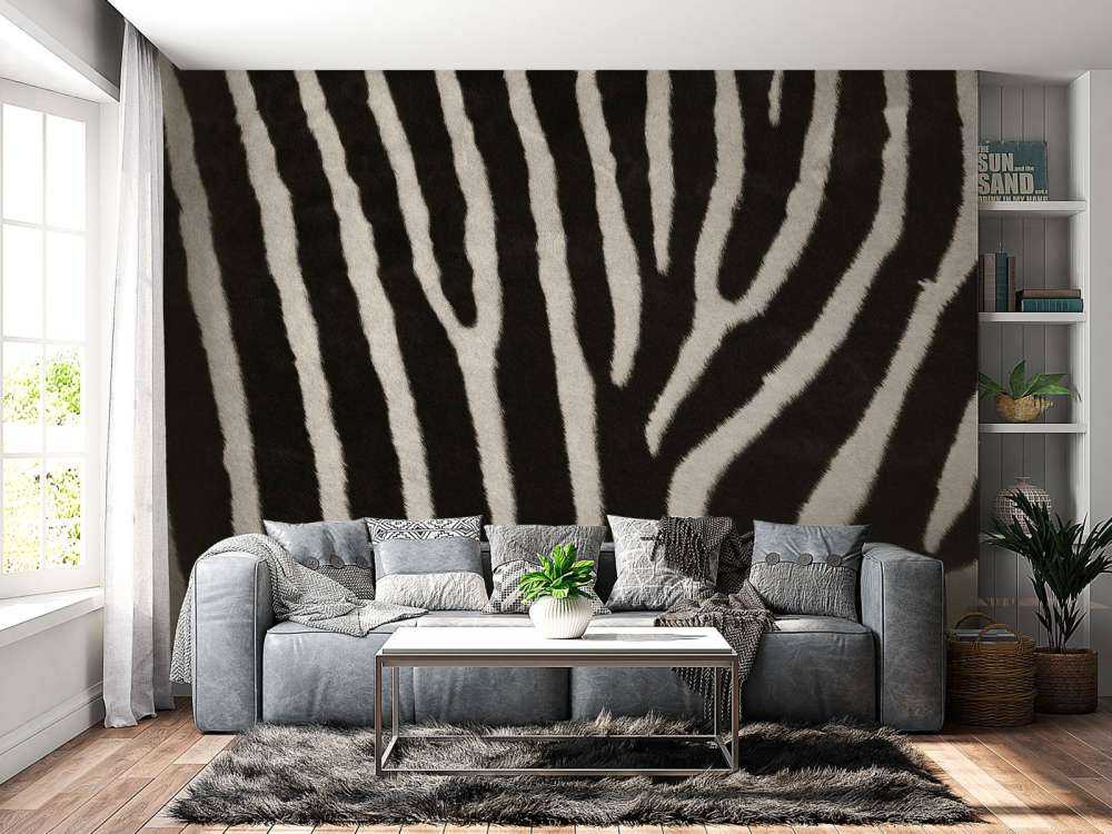 Zebra fur