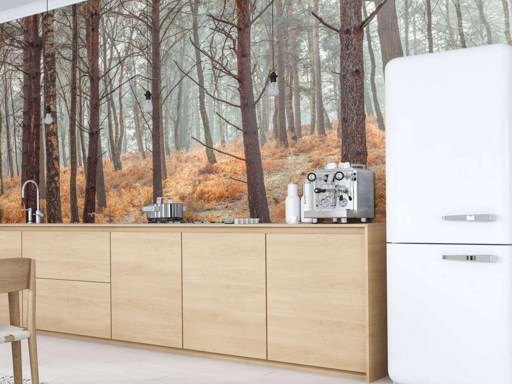 Forest during autumn