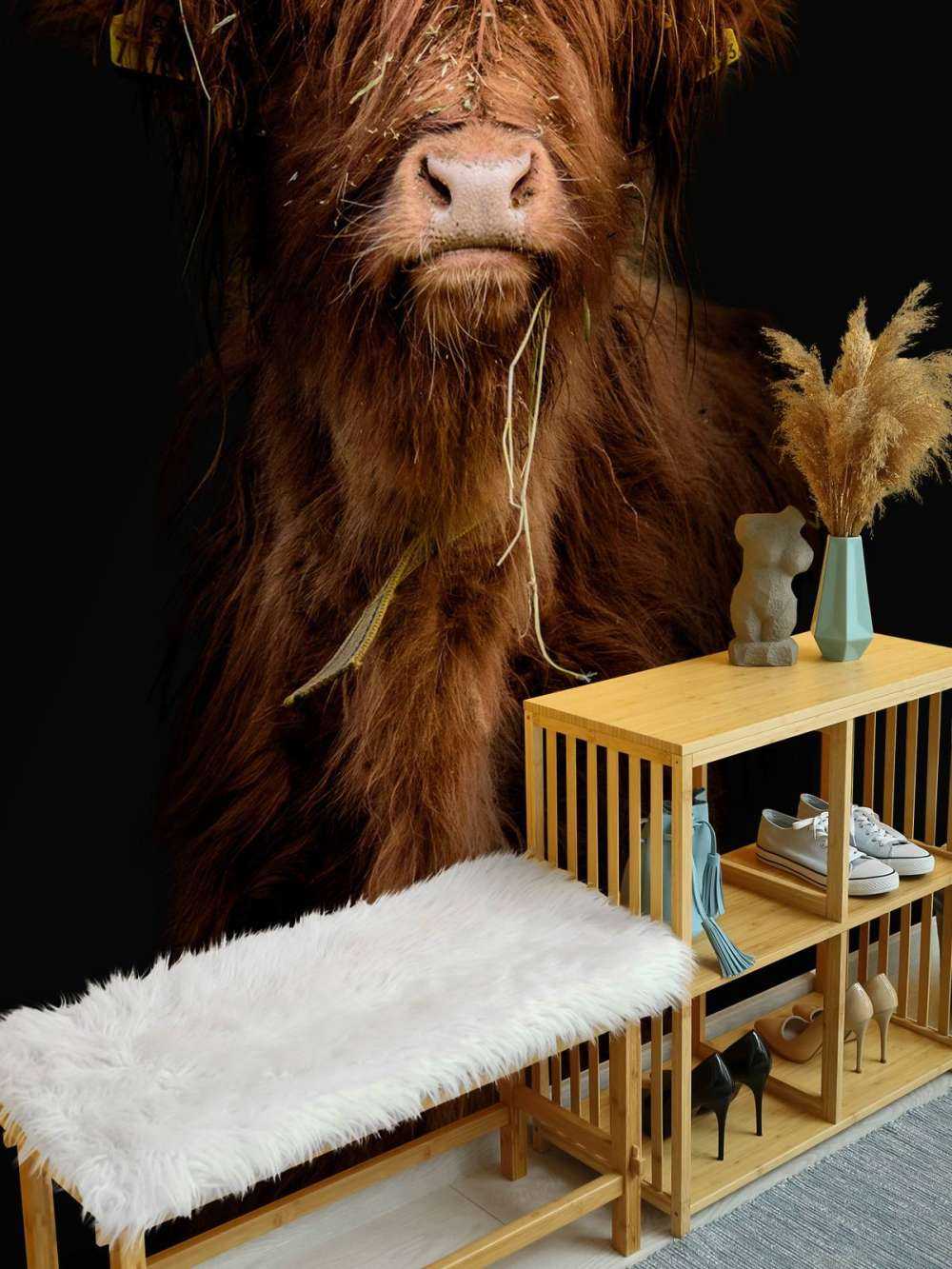 Portrait&#x20;Scottish&#x20;Highlander