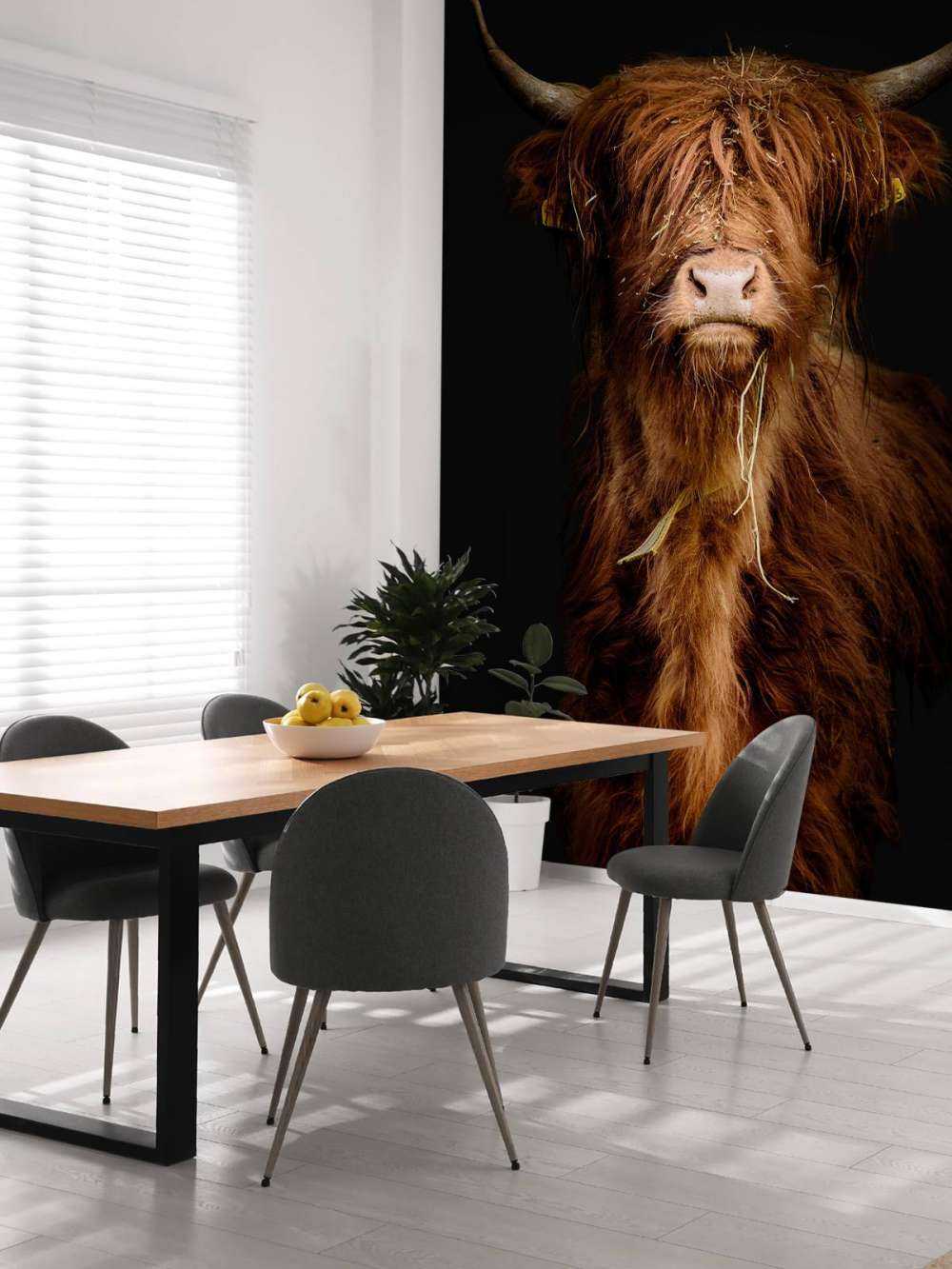 Portrait&#x20;Scottish&#x20;Highlander