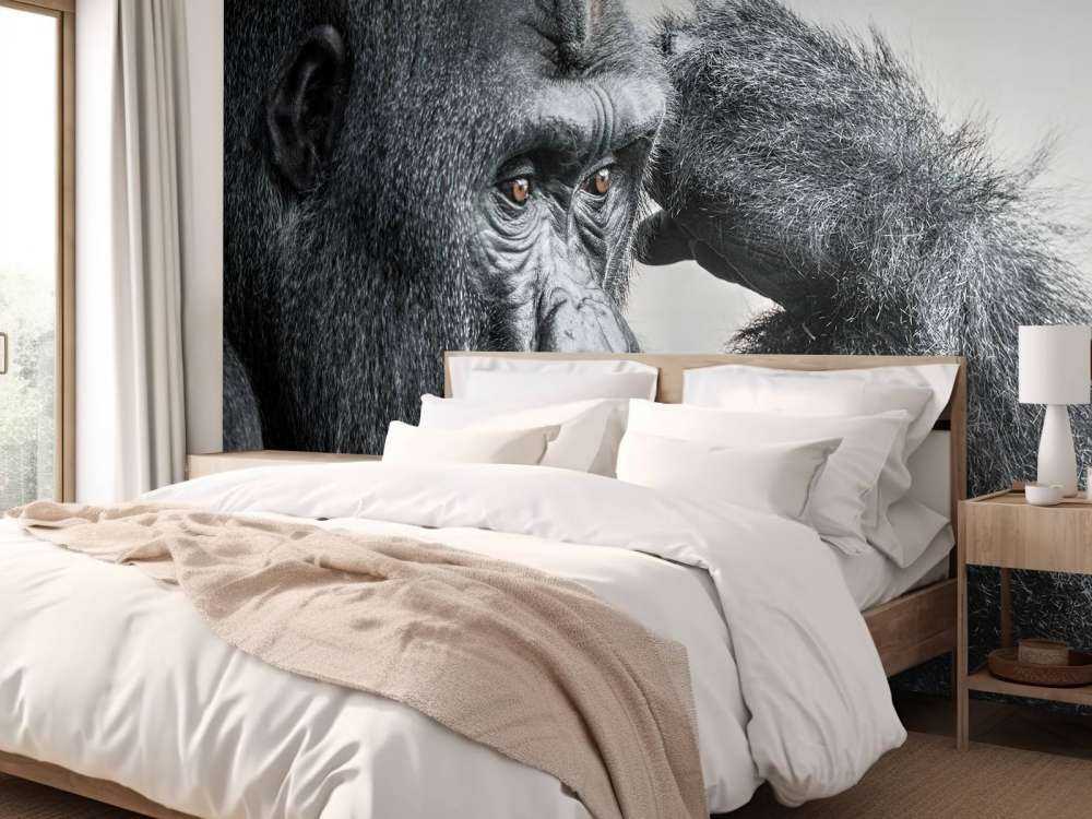 Gorilla black and white