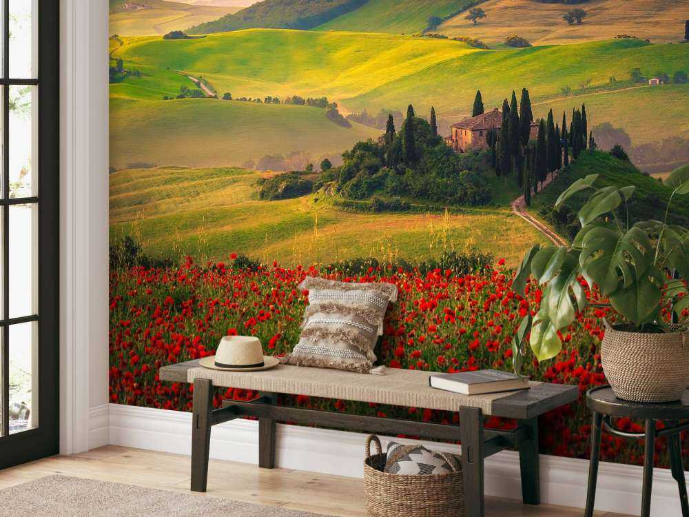 Red poppies with Italian landscape