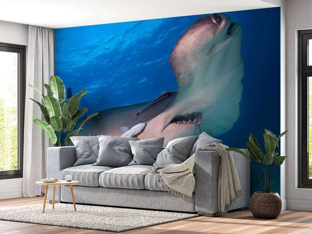 Hammerhead shark