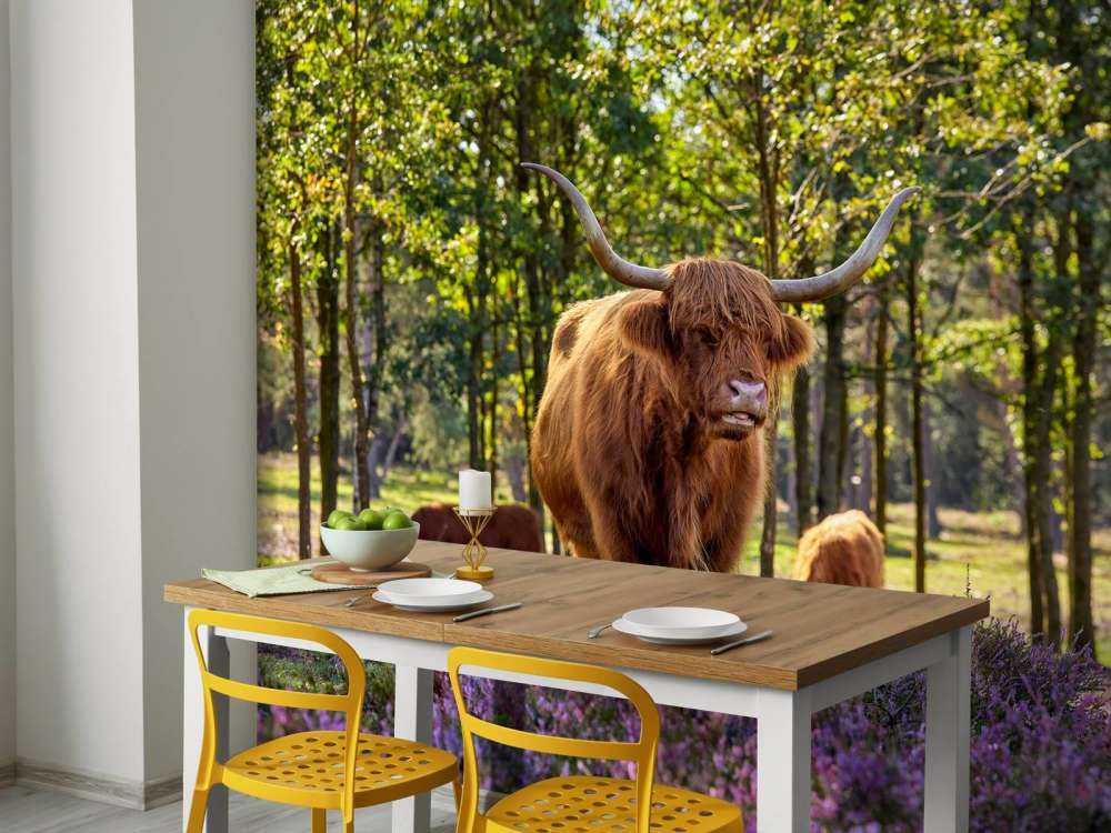 Highlanders in nature reserve