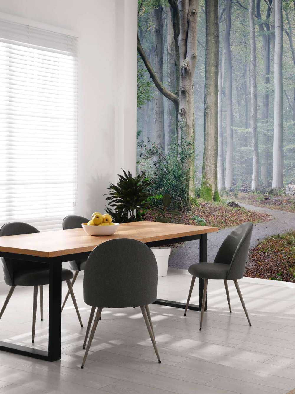 Path through the forest