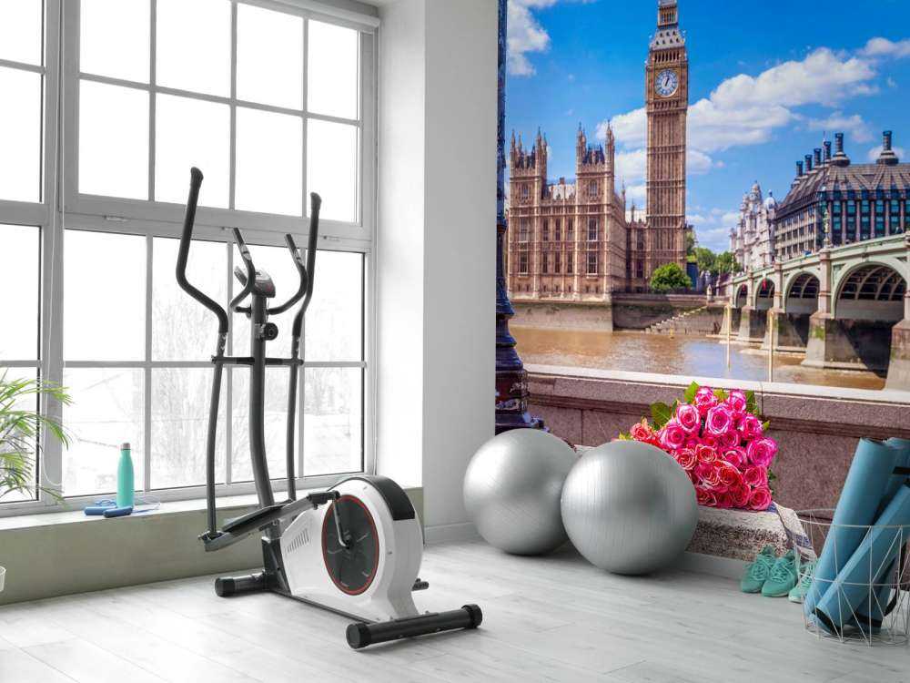 Pink roses in London