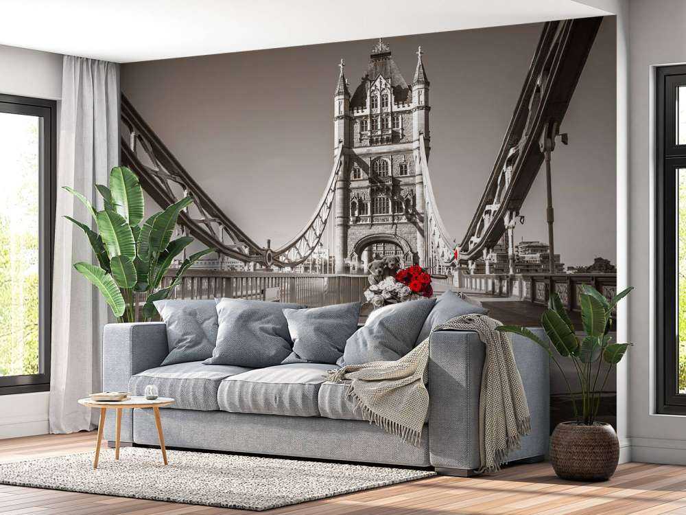 Puppies in a bicycle basket