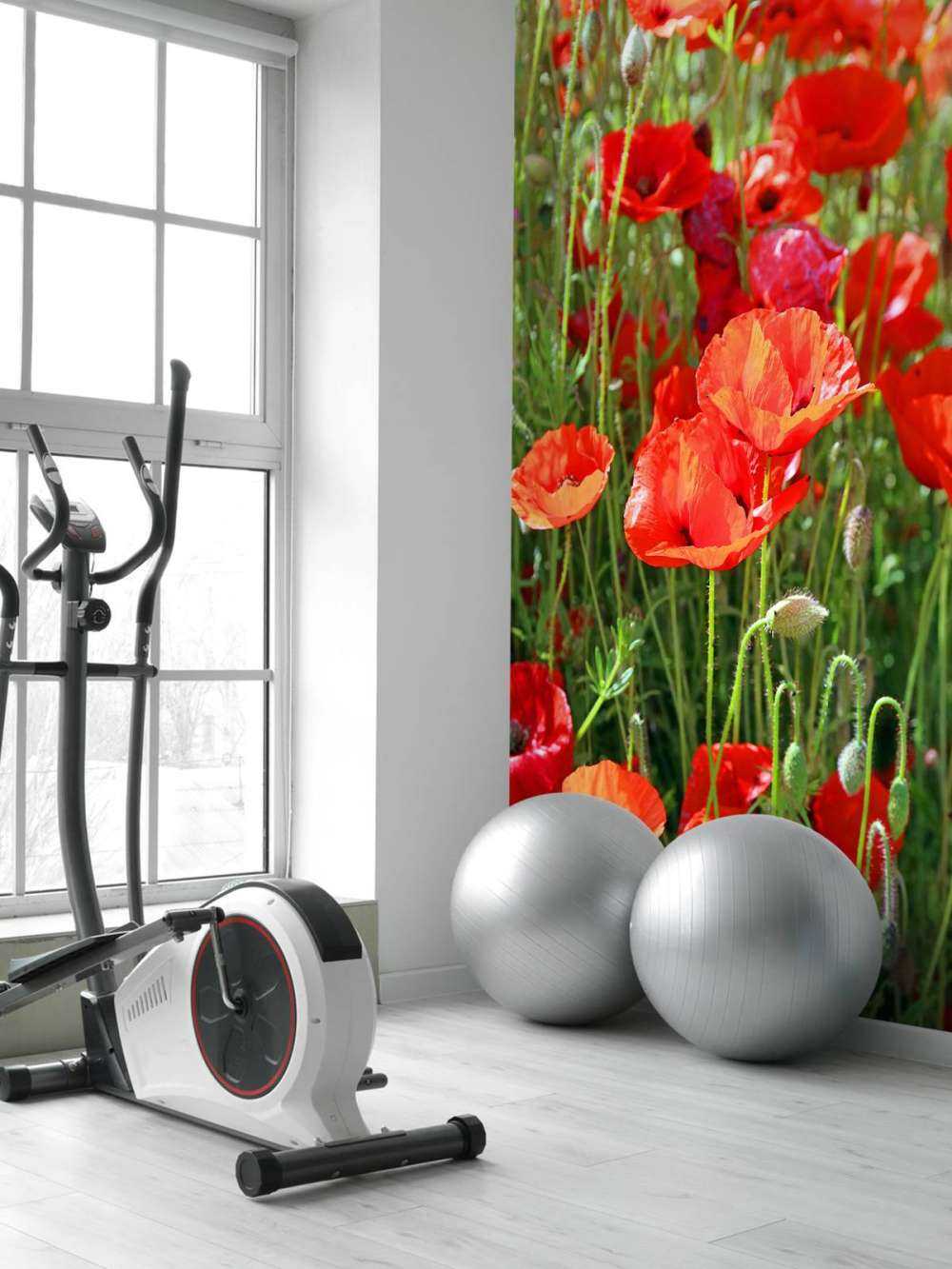 Close-up of poppies
