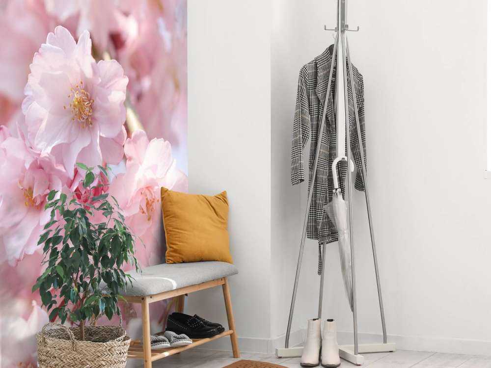 Close-up pink blossoms