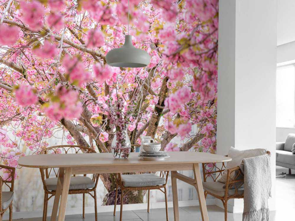 Blossom tree