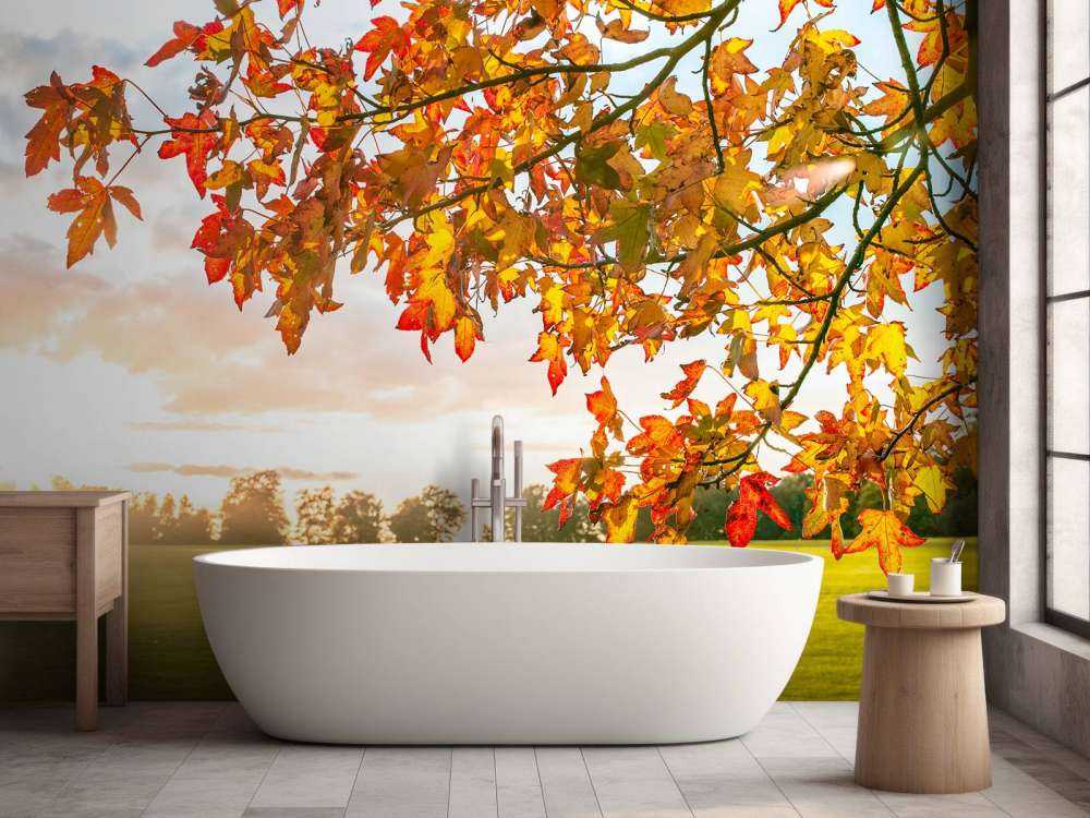 Autumn tree at sunset