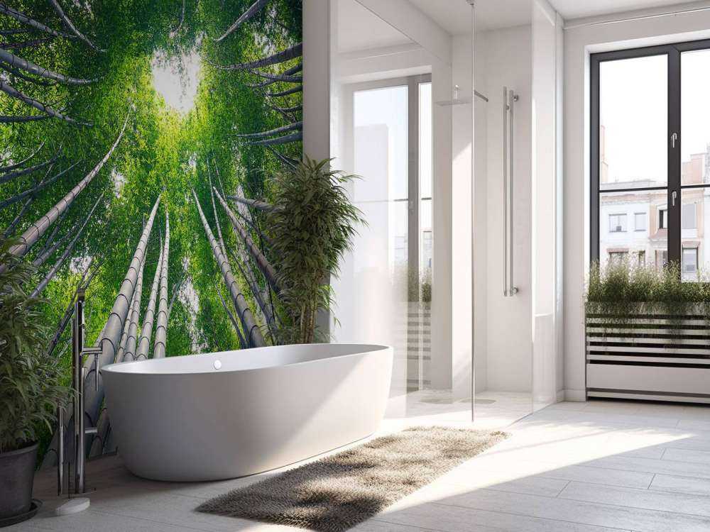 Forest with bamboo