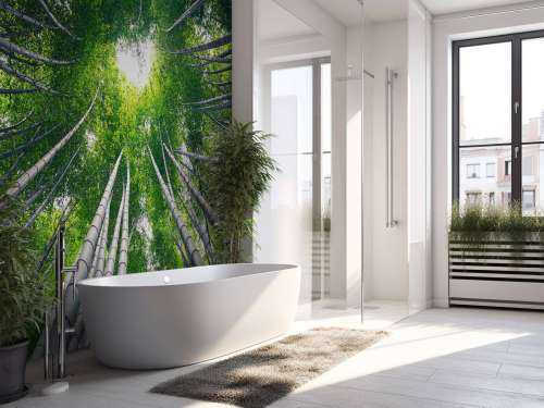 Forest with bamboo