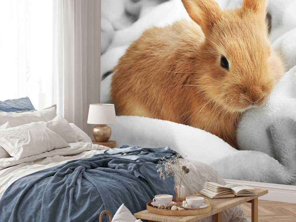 Brown rabbit