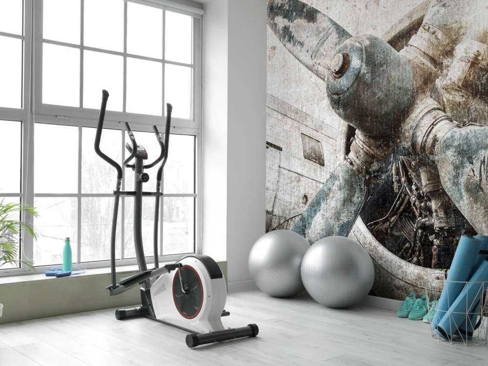 Vintage aeroplane engine